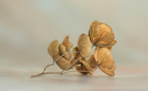 MTT决赛桌短码怎么打？三个关键策略帮你稳扎稳打